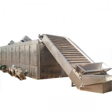 Conveyor Mesh Belt Air Dryer Cooling Machine Coconut Chips Dryer