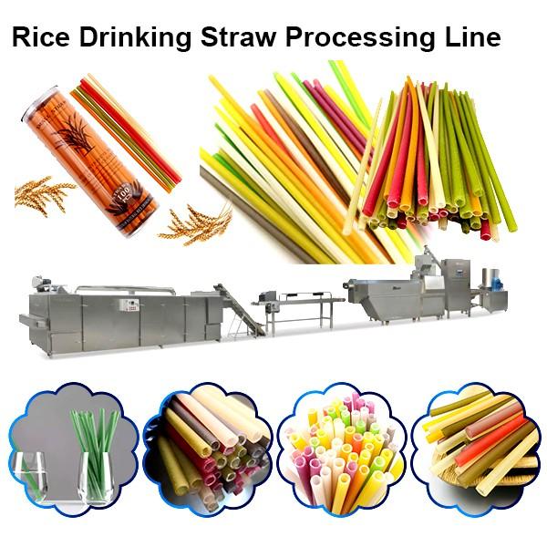 New Design Food Grade Edible Rice Drinking Straw Machine
