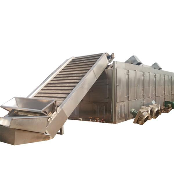 Continuous Belt Dryer for Fruit and Vegetables