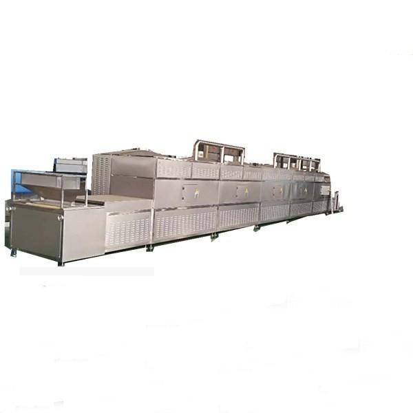 Food and Vegetable Continuous Conveyor Belt Dryer