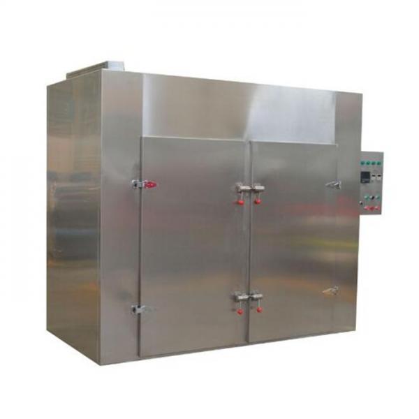 Sterilization Microwave Mesh Belt Drying Dryer Machine for Food/Fruit/Vegetable/Chemical/Health Care Products
