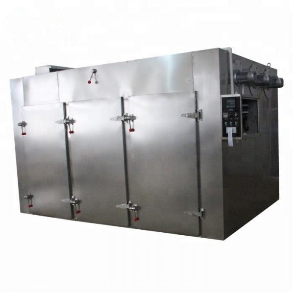 Hot Sale Fruit and Vegetable Mesh Belt Dryer Conveyor Drying Machine for Industrial Use