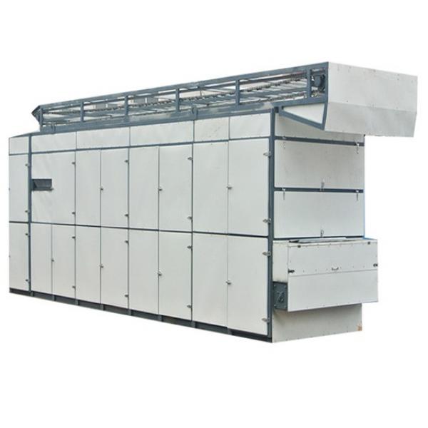 Conveyor Mesh Belt Air Dryer Cooling Machine Coconut Chips Dryer