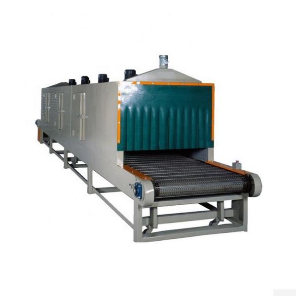 Conveyor Mesh Belt Air Dryer Cooling Machine Coconut Chips Dryer