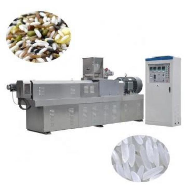New Design Ce Certification Artificial Rice Processing Line